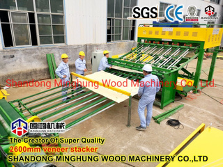 Automatic Wood Veneer Sorting Stacking Machine for Plywood Veneer Production Machine