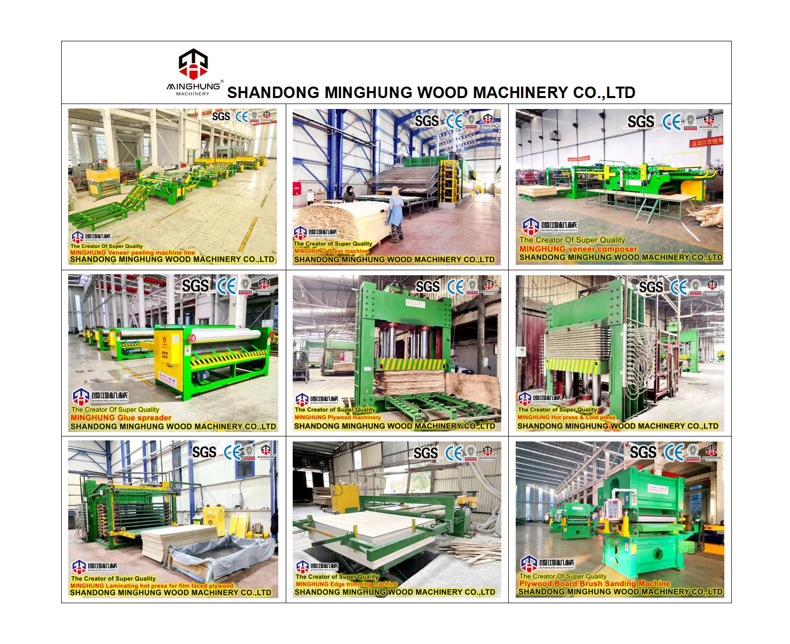 China plywood machine (2)