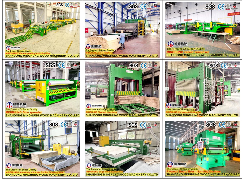 China plywood production line