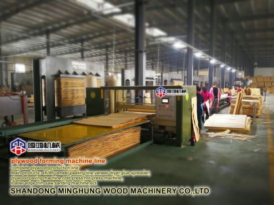 Plywood Factory Machine in China
