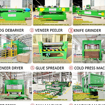 Full Sets Plywood Machine for Construction/Furniture Plywood