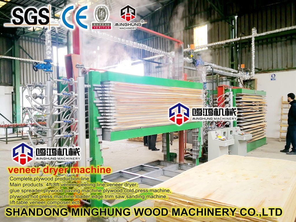 20 Floors Veneer Core Drying Machine Dryer