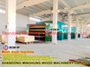 Veneer Production Line Birch Veneer Dryer Machine Mesh Birch Dryer
