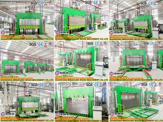 China Plywood Line Manufacturing: Fully Customized Veneer Debarking/Peeling/Hot Press/Edge Trimming Saw Machines