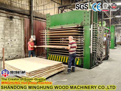 Mh3848*4 Woodworking Hot Press Machine Door Skin Heat Press Machine - China Hot  Press Machine, Plywood Hot Press Machine