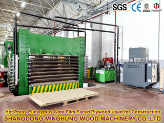 Ultra-Thin 1mm Plywood Production Line