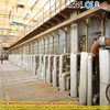 China High-speed Particleboard Continuous Flat Pressing Machine