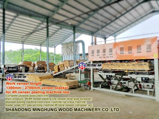 Woodworking Machine Veneer Stacker