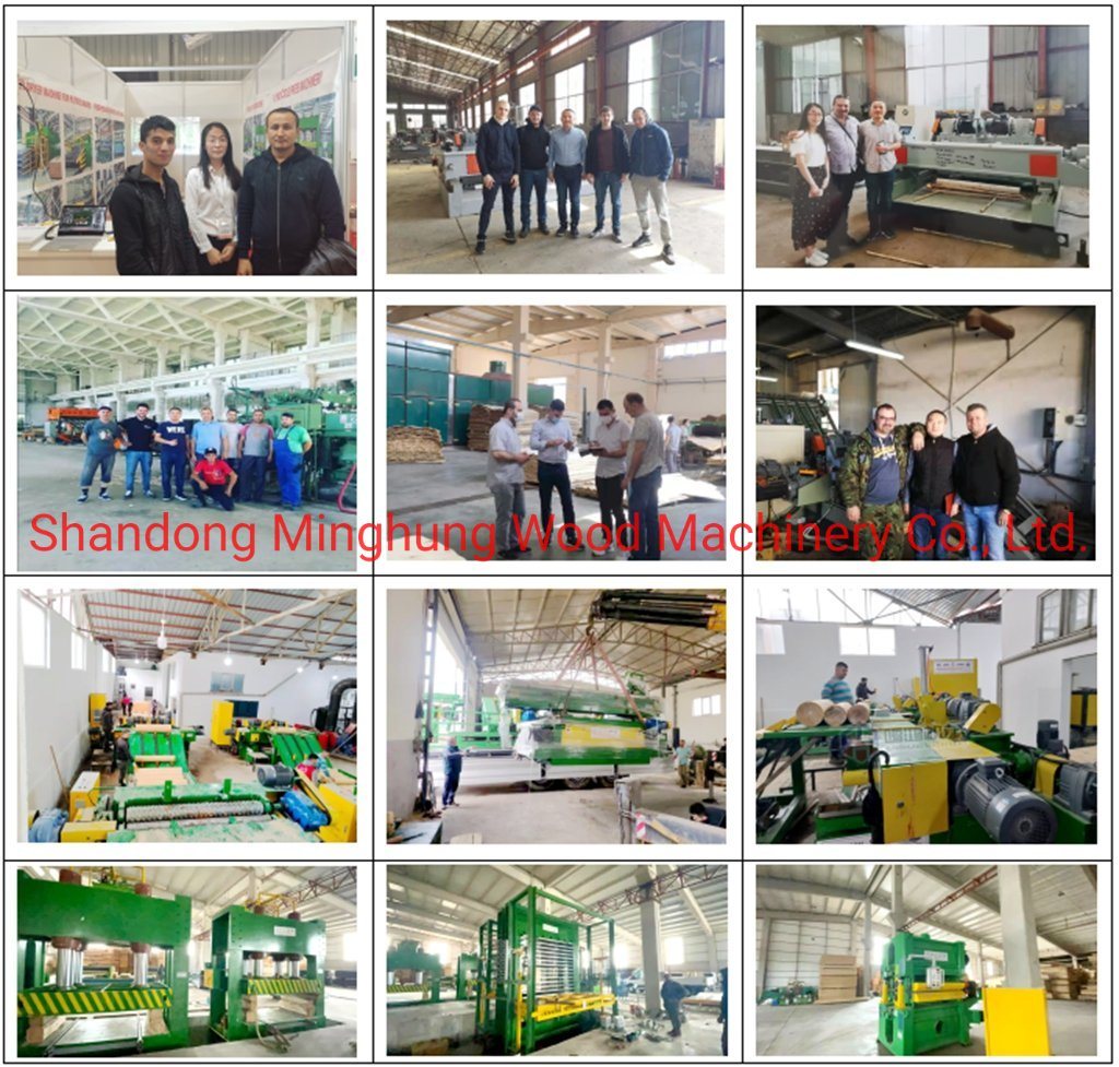 Strong 4feet Rotary Veneer Line for Panel Production Industry