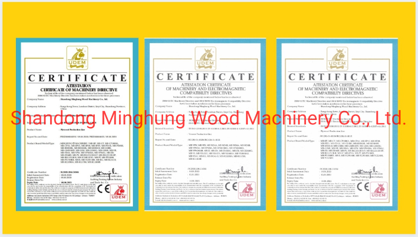 4feet /5feet Spindleless Peeling Machine for Manufacturing Wood Veneer Sheet