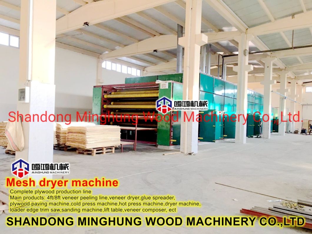 Plywood Veneer Drying Machine with Mesh Conveyor