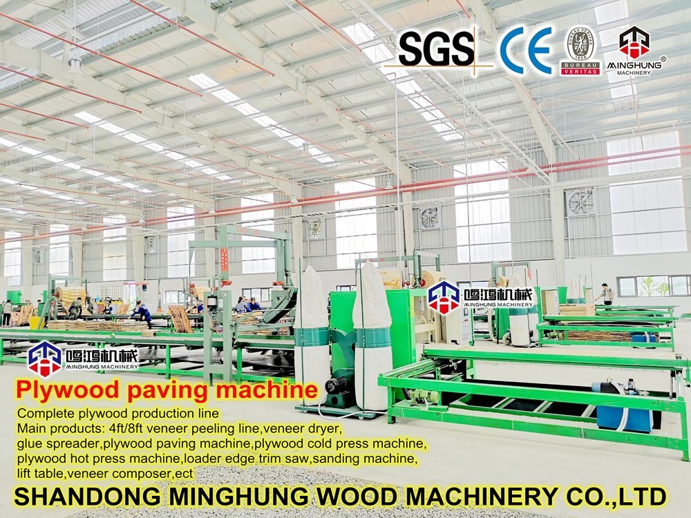 Machine for Lay out Plywood Veneer