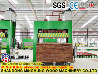 50 Ton Plywood Cold Press for Small Scale Production