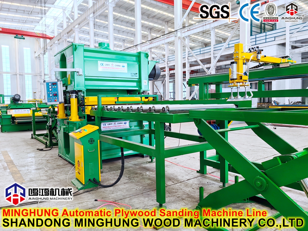 Plywood sander