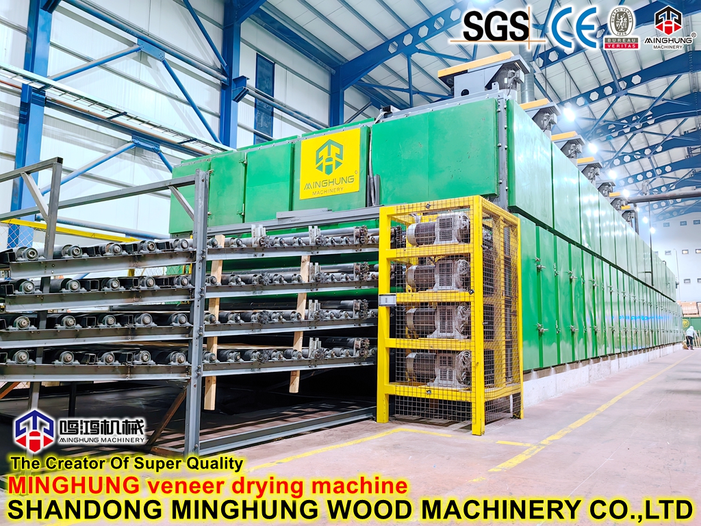 Chinese Plywood Mesh Wire Roller Veneer Drying Machine Line