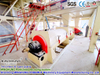 OSB (Oriented Strand Board) Gluing Making Machine