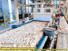 China OSB Production Line