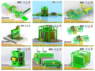 Plywood Production Line Equipped with Double-sided Thickness-fixing Sanding Machine